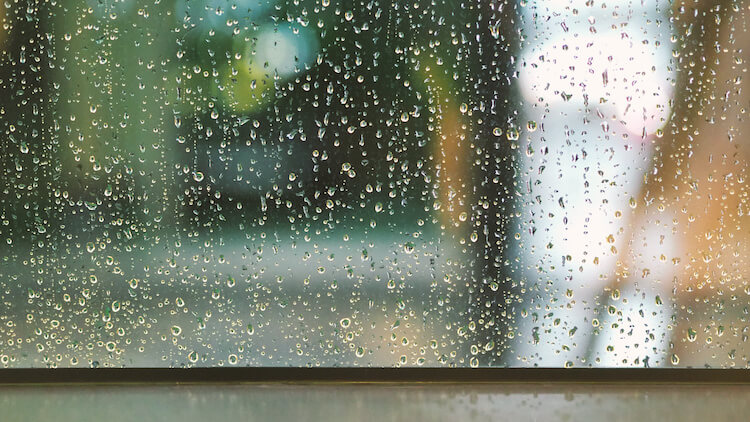 窓についた雨水